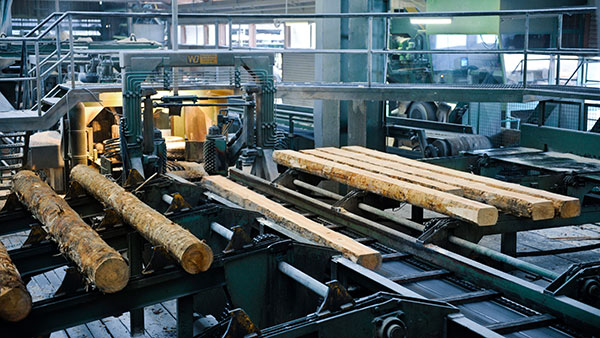 Sägewerk: Rundholz Sägewerk: Rundholz
