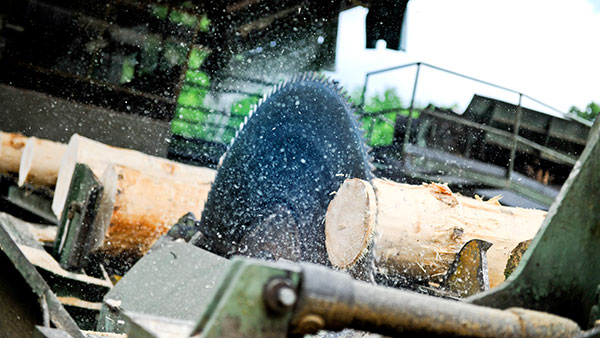 Sägewerk: Schnittholz Sägewerk: Schnittholz